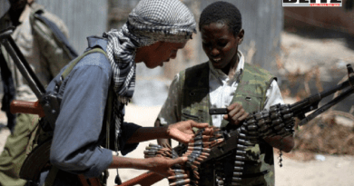 Several Al Qaeda men killed in Somalia during US airstrike