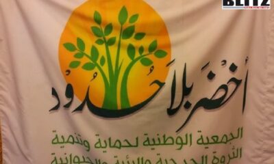 Green Without Border, Hezbollah, Lebanese, Shia Islamic regime, Hassan Nasrallah
