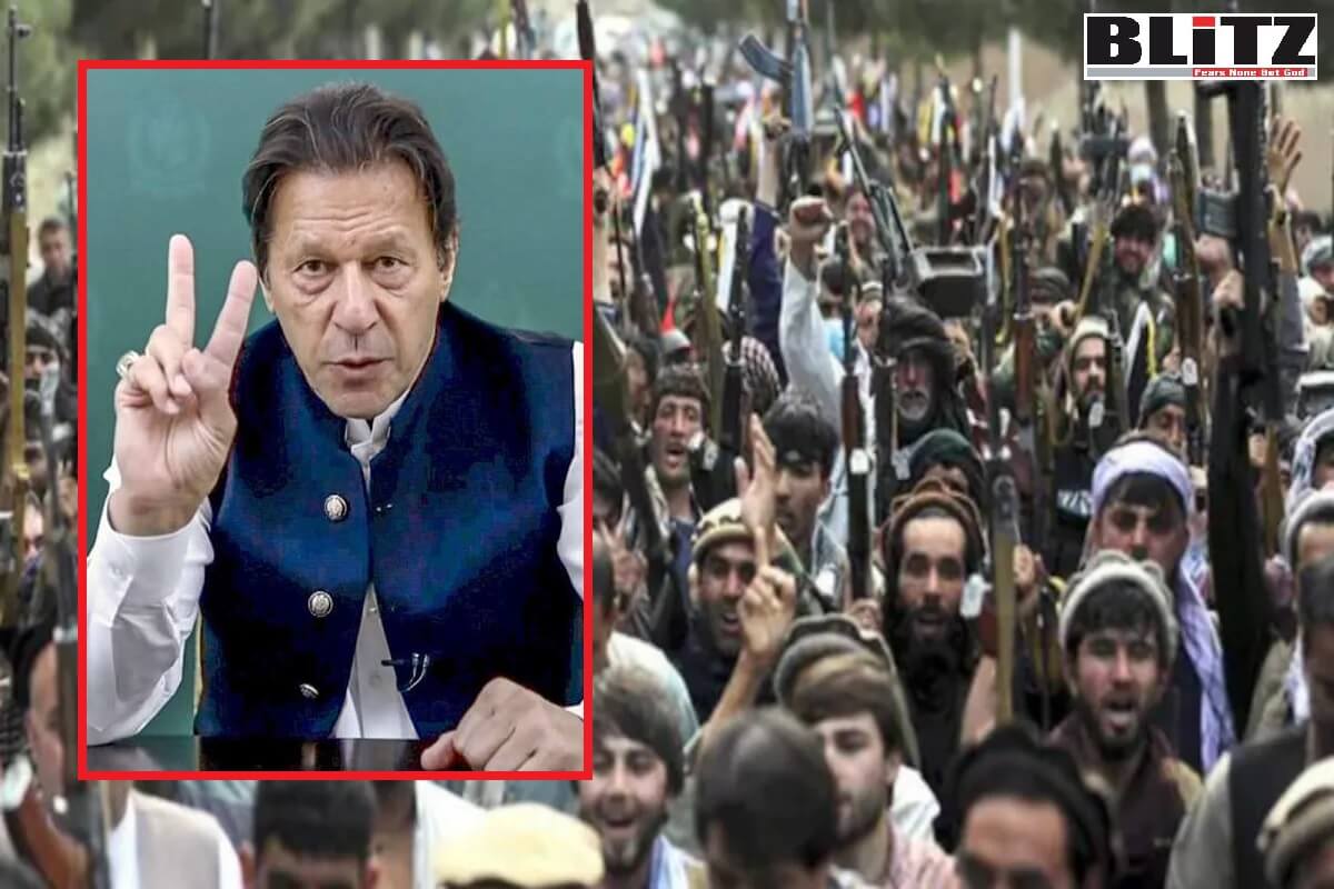 Imran Khan, Pakistan Tehreek-e-Insaf, PTI, Tehreek-e-Taliban Pakistan, TTP, Afghanistan, Taliban